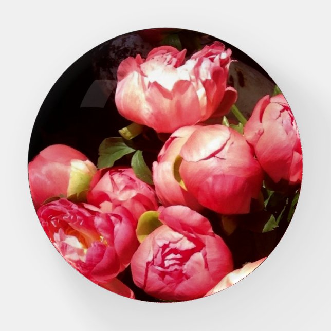 Pink Peonies Paperweight (Front)