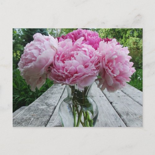 Pink Peonies  Peony Flowers Arrangement in Vase Postcard
