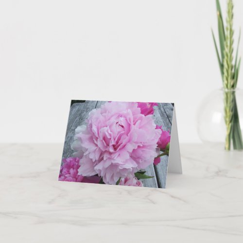 Pink Peonies  Peony Notecard