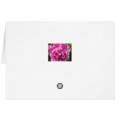 Pink Peony (Back Horizontal)