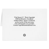 "Pink Peony # 1" Cards (Back Horizontal)