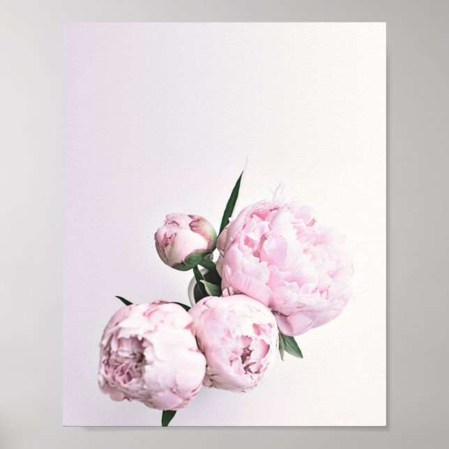 Pink Peony Art, Rose Print, Flower Art Pink Poster (Front)