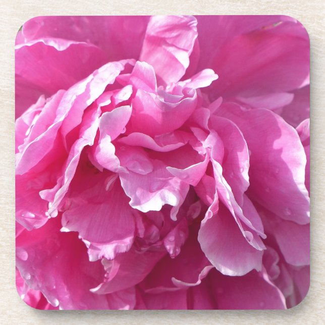 Pink Peony Beverage Coaster (Front)