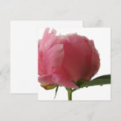 Pink Peony Blossom (Front/Back)