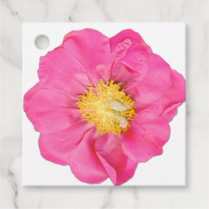 Pink Peony Blossom Botanical Square Favor Tags