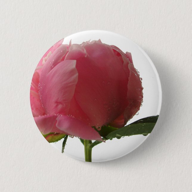 Pink Peony Blossom Button (Front)