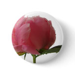 Pink Peony Blossom Button