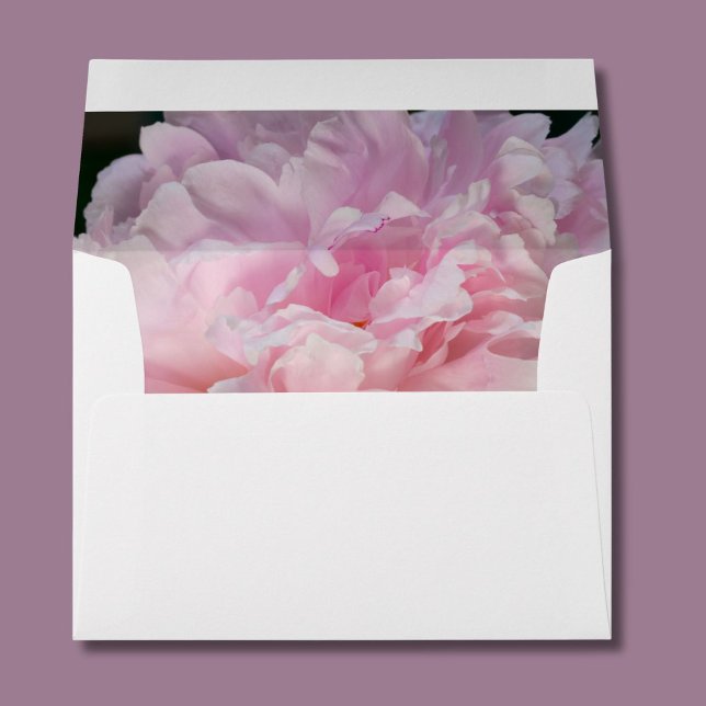 Pink Peony Blossoms  Envelope (Creator Uploaded)