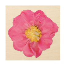 Pink Peony Botanical Wood Wall Art Print