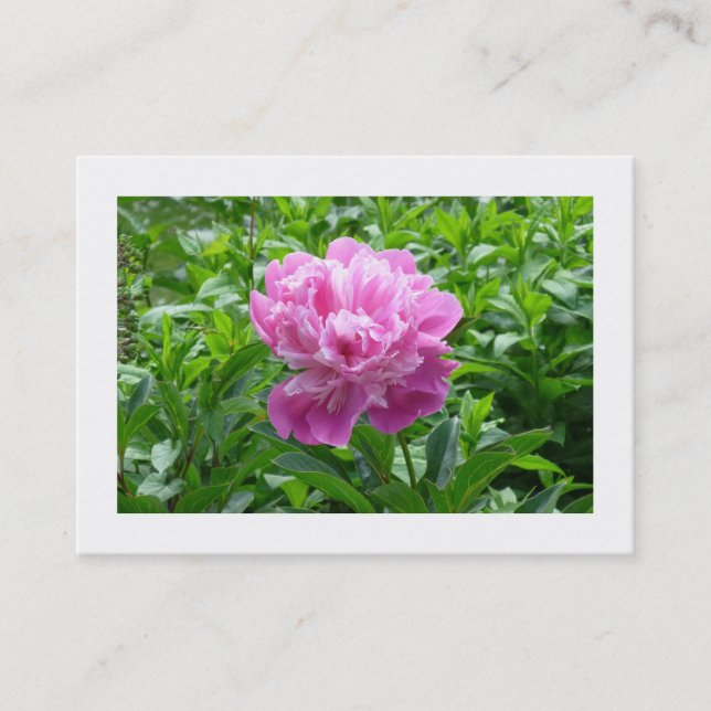 Pink Peony Business Card (Front)