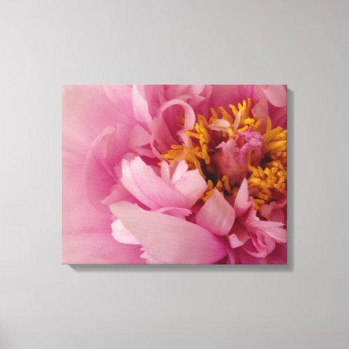 Pink Peony Canvas Wall Art