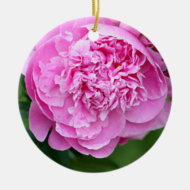 Pink peony ceramic ornament (Front)