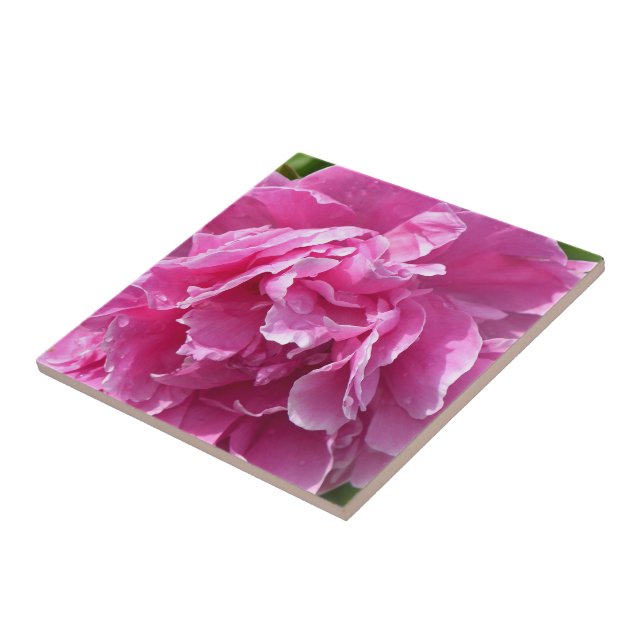 Pink Peony Ceramic Tile (Side)