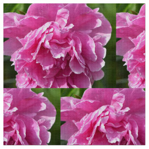 Pink Peony Fabric