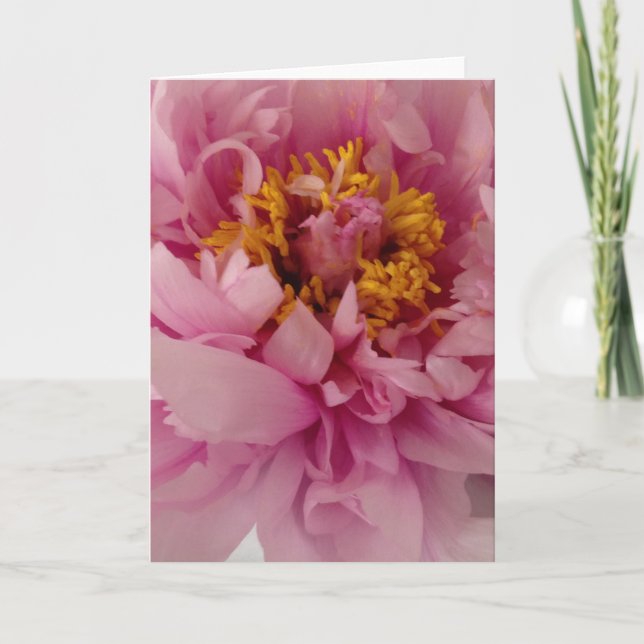 Pink Peony Flower Blank Greeting Card (Front)