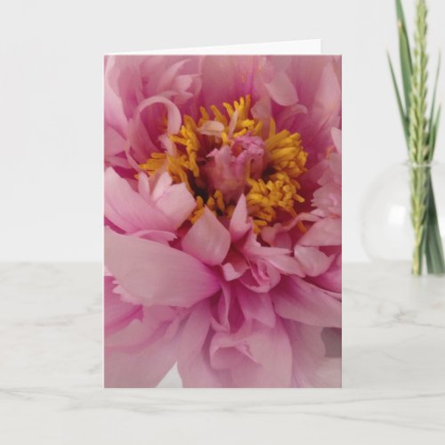 Pink Peony Flower Blank Greeting Card