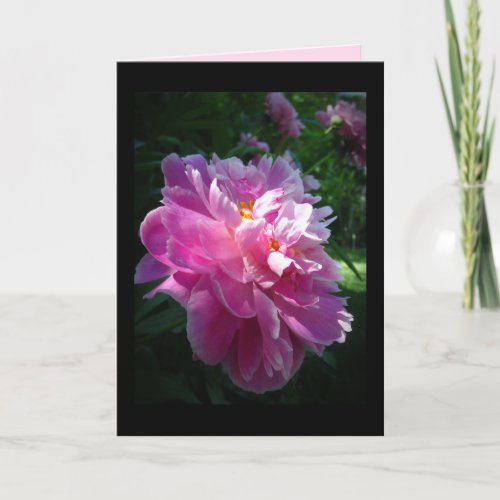 Pink Peony flower Blank Greeting Card