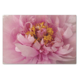 Pink Peony Flower Blossom Photo Decoupage  Tissue Paper
