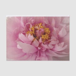 Pink Peony Flower Blossom Photo Decoupage Tissue Paper