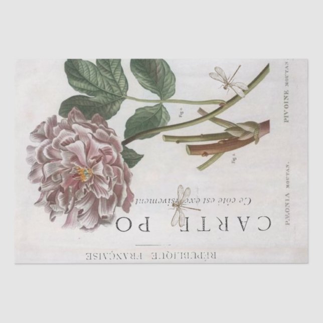 Pink Peony Flower Botanical French Dragonfly Craft Tissue Paper (Front)