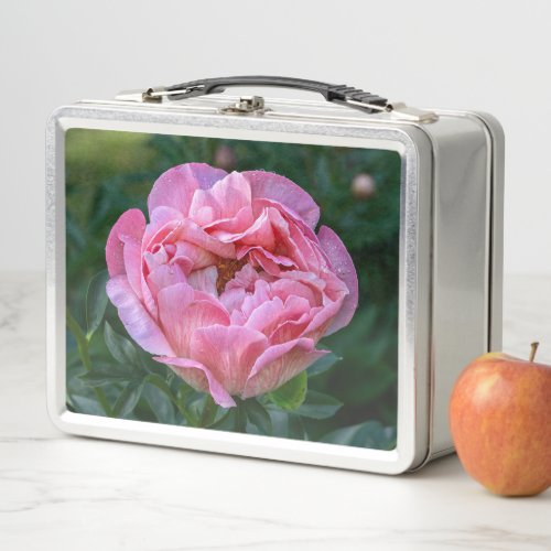 Pink Peony Flower Canadian Photography Metal Lunch Box