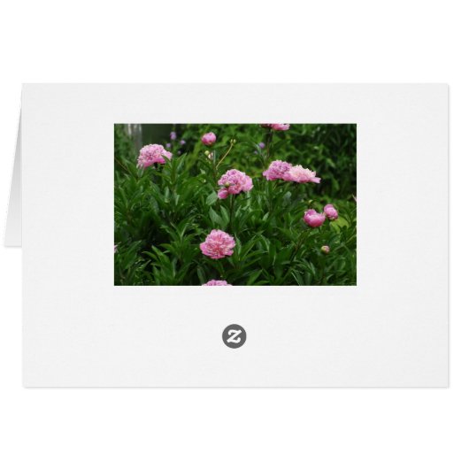 Pink Peony Flower Happy Birthday Card (Back Horizontal)