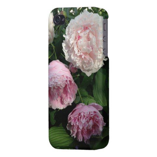 Pink Peony Flower Iphone4 Case (Back Left)