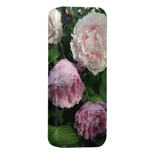 Pink Peony Flower Iphone4 Case (Back Right)