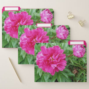  Pink Peony Flower Peonies Office  File Folder