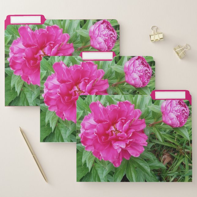  Pink Peony Flower Peonies Office  File Folder (Set)