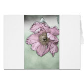 Pink Peony Flower Sketch (Front Horizontal)