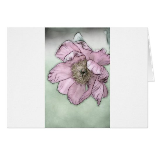 Pink Peony Flower Sketch Cards (Front Horizontal)