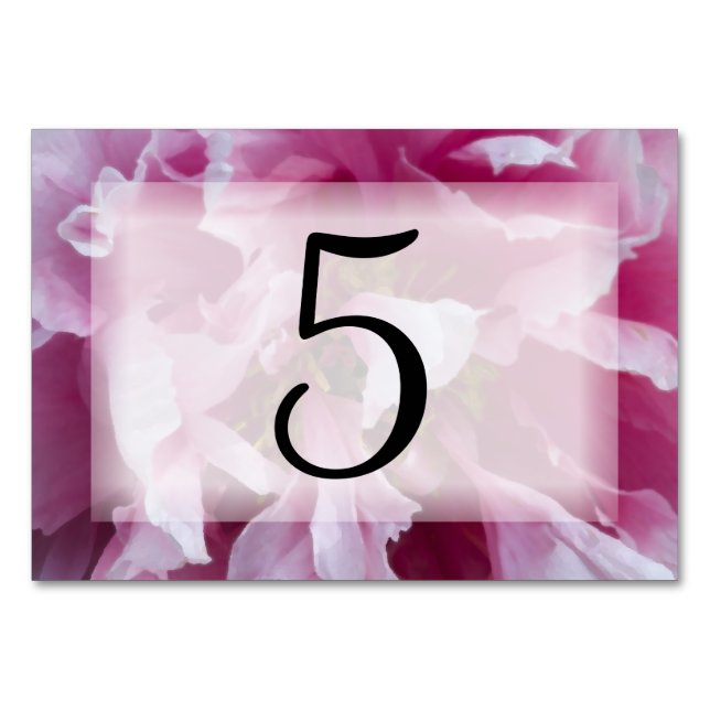 Pink Peony Flower Table Numbers (Front)