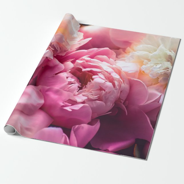 Pink peony flowers as floral art background, botan wrapping paper (Unrolled)