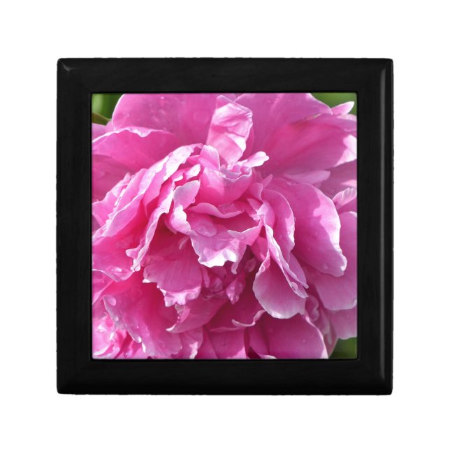 Pink Peony Gift Box (Front)