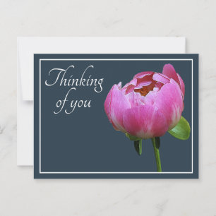 Pink Peony Gray Color Background Thinking Of You Postcard