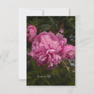 Pink Peony & Love-in-a-mist Note Card
