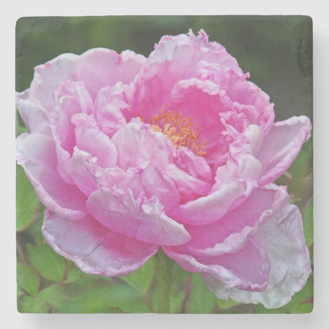 "PINK PEONY" MARBLE COASTER (Front)