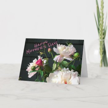 Pink Peony Mother’s Day Card by logodiane at Zazzle