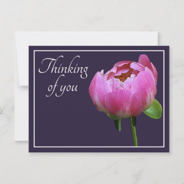 Pink Peony Navy Color Background Thinking Of You Postcard