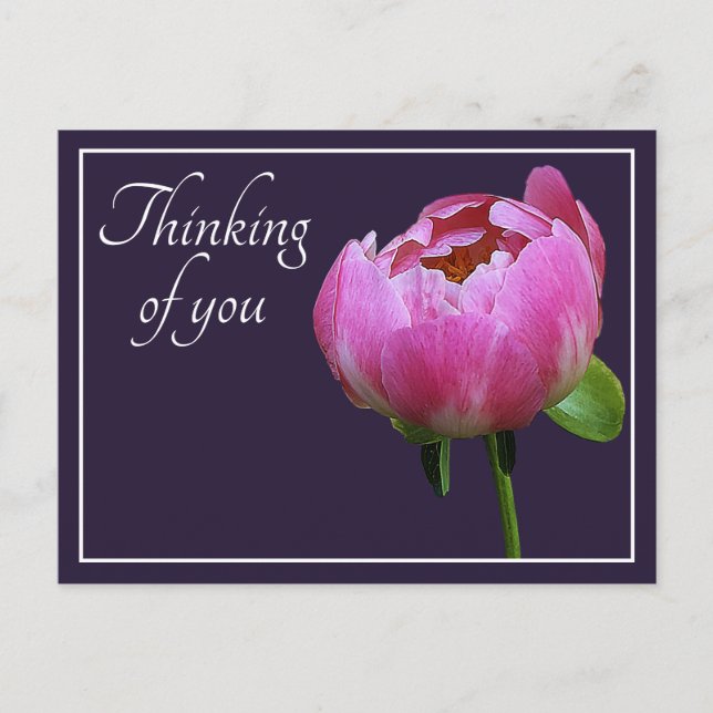 Pink Peony Navy Color Background Thinking Of You Postcard (Front)