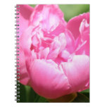 Pink Peony Notebook