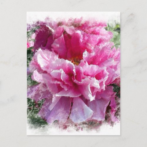  Pink Peony Painting Artistic Impressionism AR1 Postcard