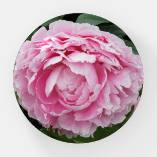 Pink Peony Paperweight
