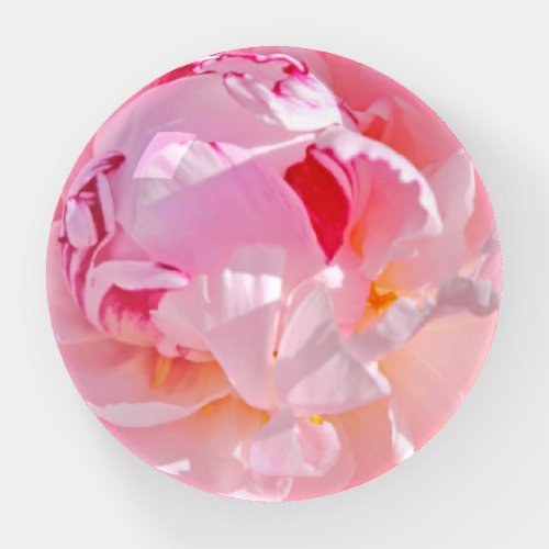 pink peony paperweight