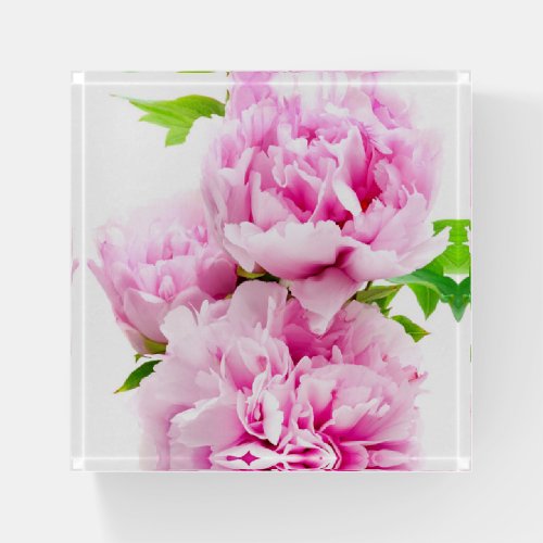 Pink Peony Paperweight