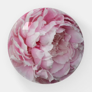 Pink Peony Paperweight