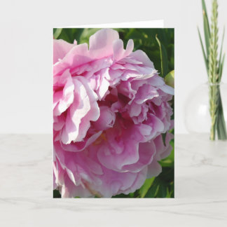 Pink Peony photo cottage farmhouse floral garden Card