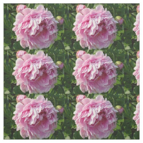 Pink Peony photo cottage farmhouse floral garden Fabric