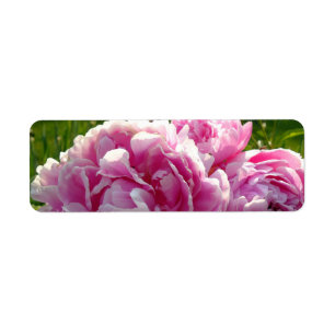 Pink Peony photo cottage farmhouse floral garden Label